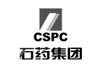 廢氣治理案例_石藥集團(tuán)